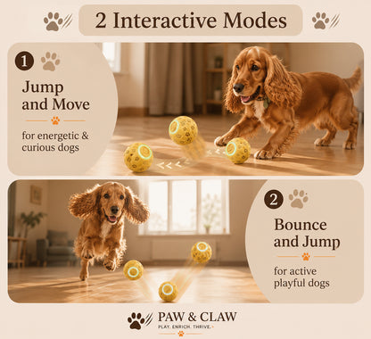 Paw & Claw™ 3-in-1 Interactive Treat Ball